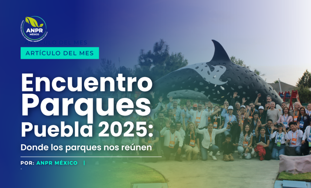 Slider4-450-03 (2) Slider4-450-03 (2)