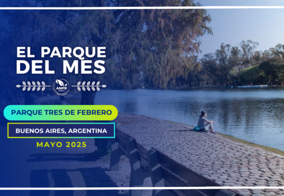 PARQUE DEL MES BLOG (4)