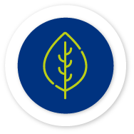 Icono hoja