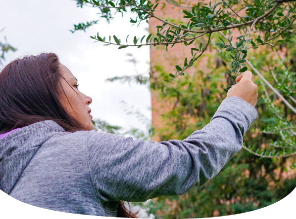 Naturaleza y Biodiversidad