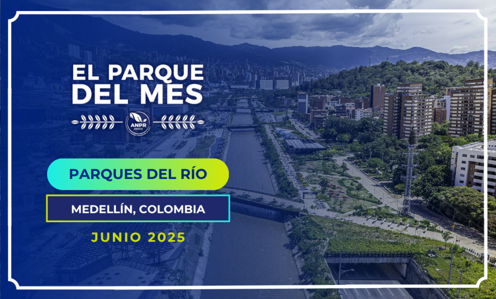 PARQUE DEL MES BLOG-2 PARQUE DEL MES BLOG-2