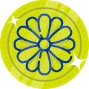 Flor