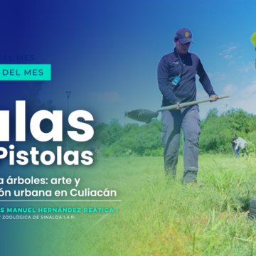 Artículo del mes - Julio 2025