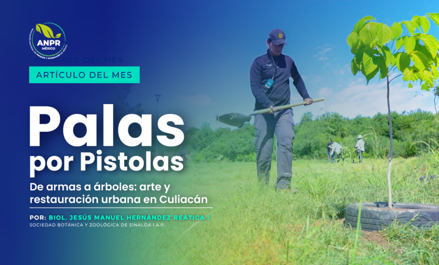 Artículo del mes - Julio 2025