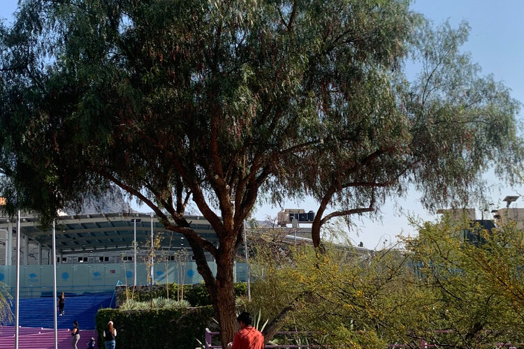 parque-hidrico-la-quebradora-taller-capital_12