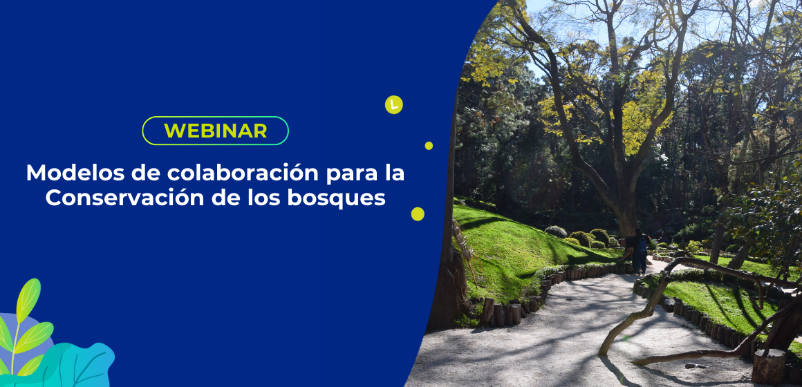 Modelos de colaboración para la Conservación de los bosques