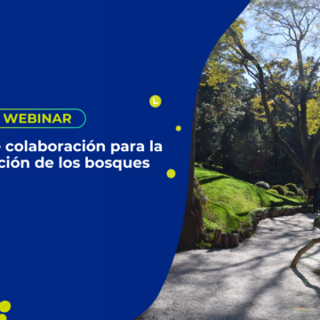 Modelos de colaboración para la Conservación de los bosques