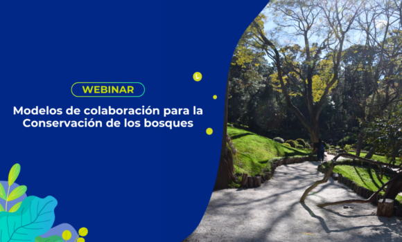 Modelos de colaboración para la Conservación de los bosques