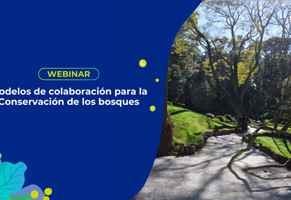 Modelos de colaboración para la Conservación de los bosques