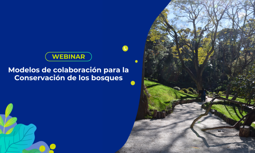 Modelos de colaboración para la Conservación de los bosques