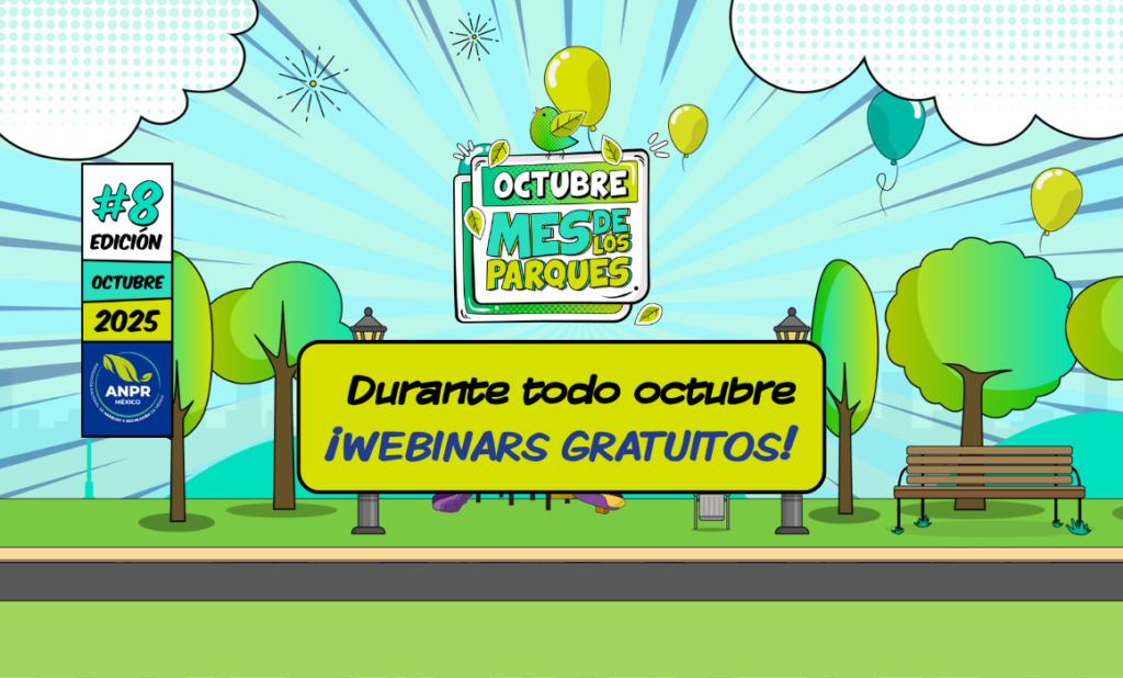 Webinars - MdlP 2025