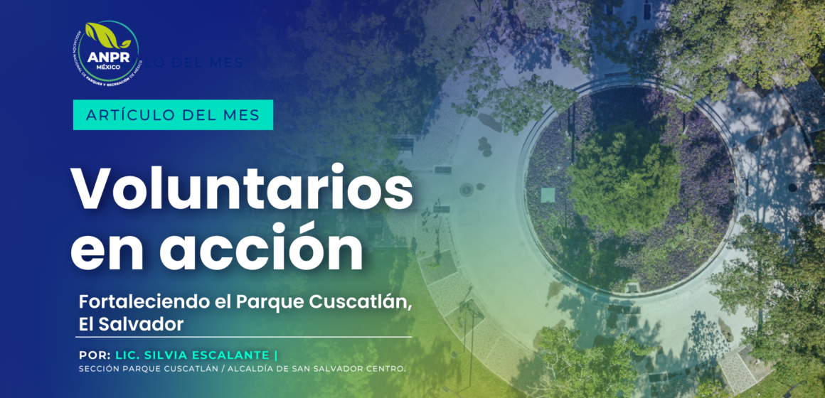 blog-articulo-del-mes-septiembre