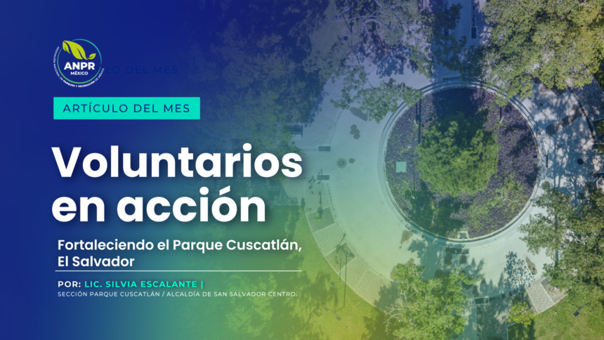 blog-articulo-del-mes-septiembre