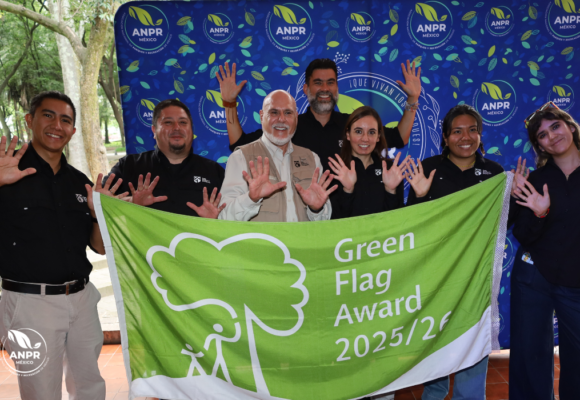premiacion gfa 2025