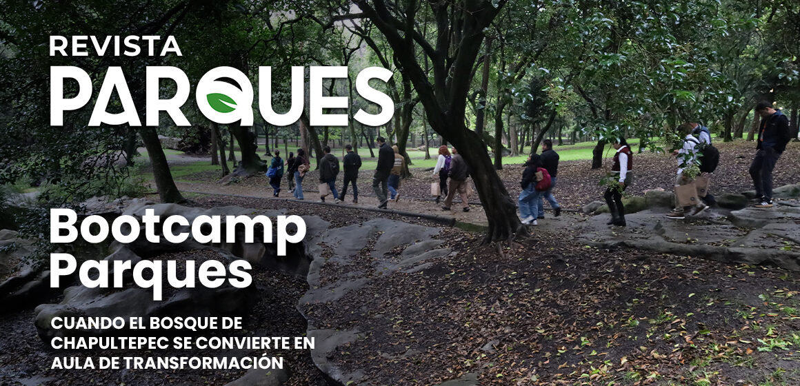 10 Blog bootcamp parques