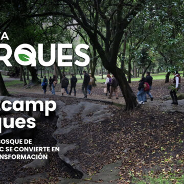 10 Blog bootcamp parques