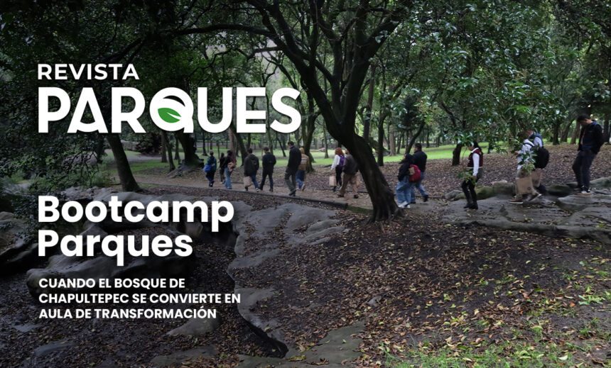 10 Blog bootcamp parques