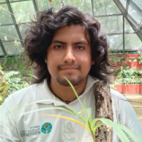 Maynor Uriel Domínguez Reyes