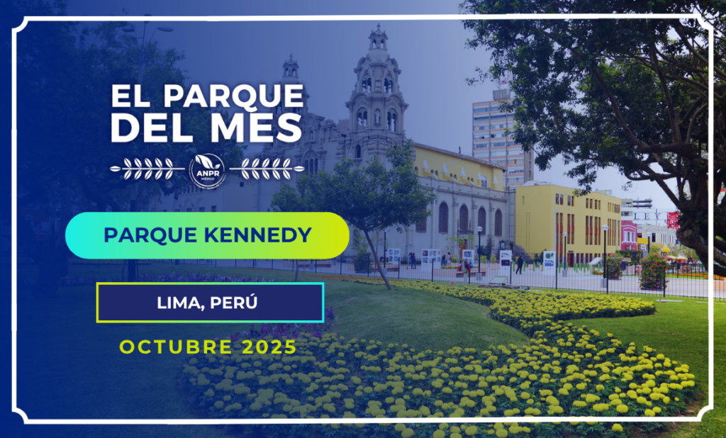 PARQUE DEL MES BLOG-4 PARQUE DEL MES BLOG-4