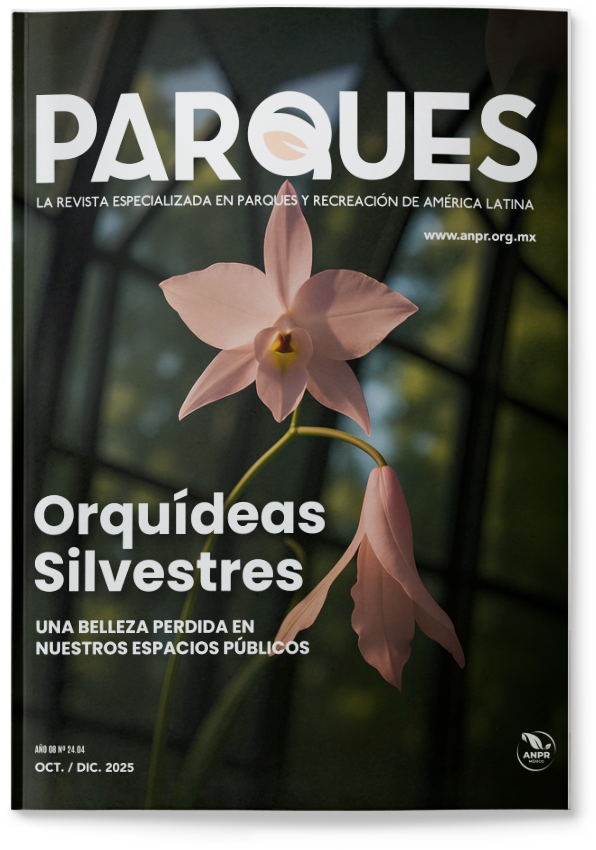 Portada El enfoque orienta las ciudades