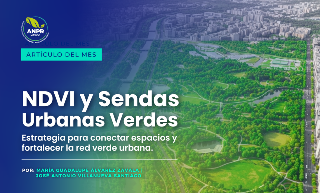 Blog - artículo del mes octubre 2025 Blog - artículo del mes octubre 2025