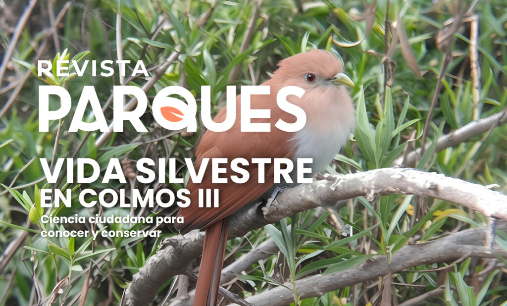 Vida Silvestre En Colomos III: Ciencia Ciudadana para Conocer y Conservar