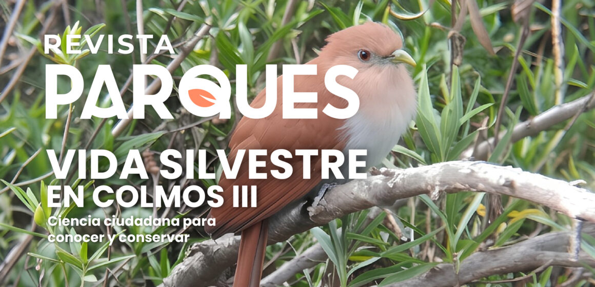 BLOG Vida Silvestre En Colomos III: Ciencia Ciudadana para Conocer y Conservar