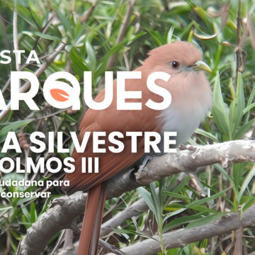 Vida Silvestre En Colomos III: Ciencia Ciudadana para Conocer y Conservar