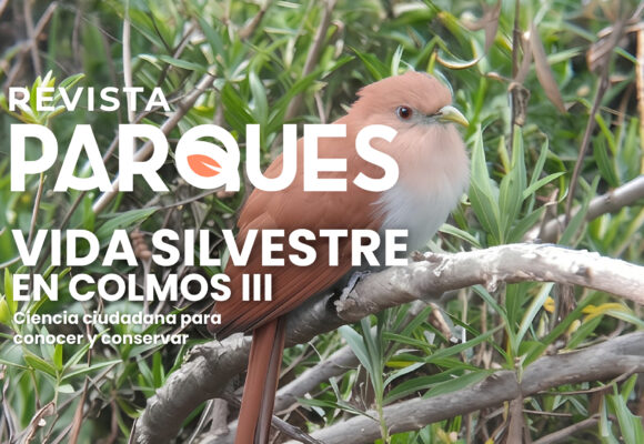 Vida Silvestre En Colomos III: Ciencia Ciudadana para Conocer y Conservar