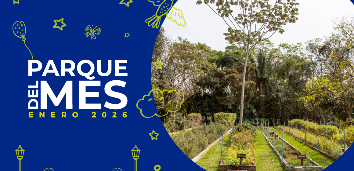 blog-parque-del-mes Parque Villa-Lobos – São Paulo, Brasil