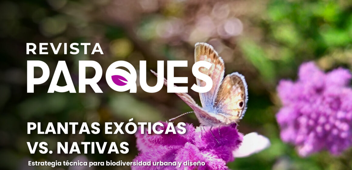 Plantas Exóticas vs Nativas: estrategia técnica para biodiversidad urbana y diseño