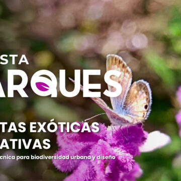 Plantas Exóticas vs Nativas: estrategia técnica para biodiversidad urbana y diseño