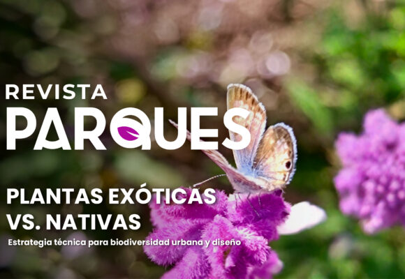 Plantas Exóticas vs Nativas: estrategia técnica para biodiversidad urbana y diseño