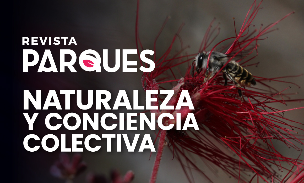 Revista-Parques