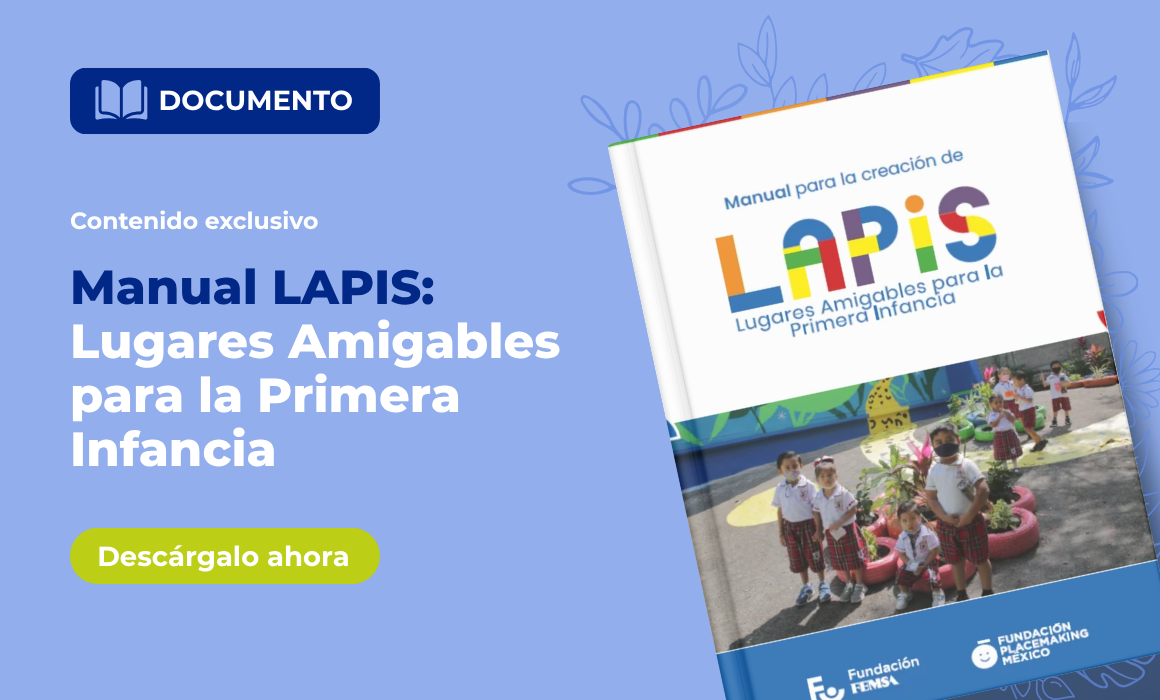 manual-lapis