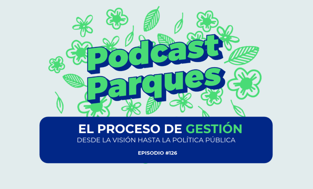El proceso de gestión, desde la visión hasta la política pública