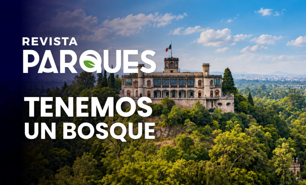 Tenemos-un-bosque