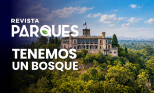 Tenemos-un-bosque